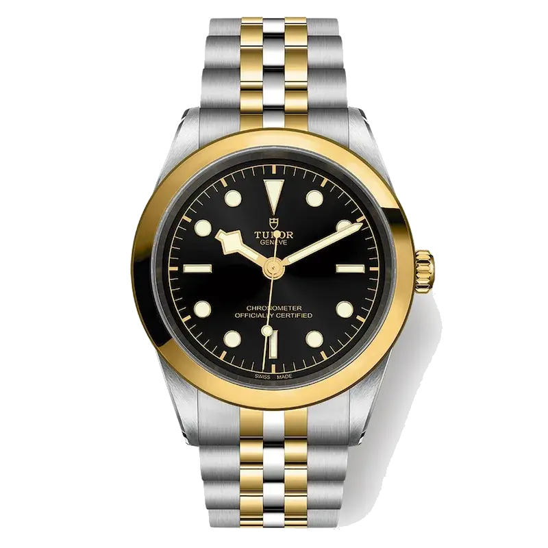Tudor Black Bay 41 S & G 18ct Yellow Gold & Steel Watch, reference 