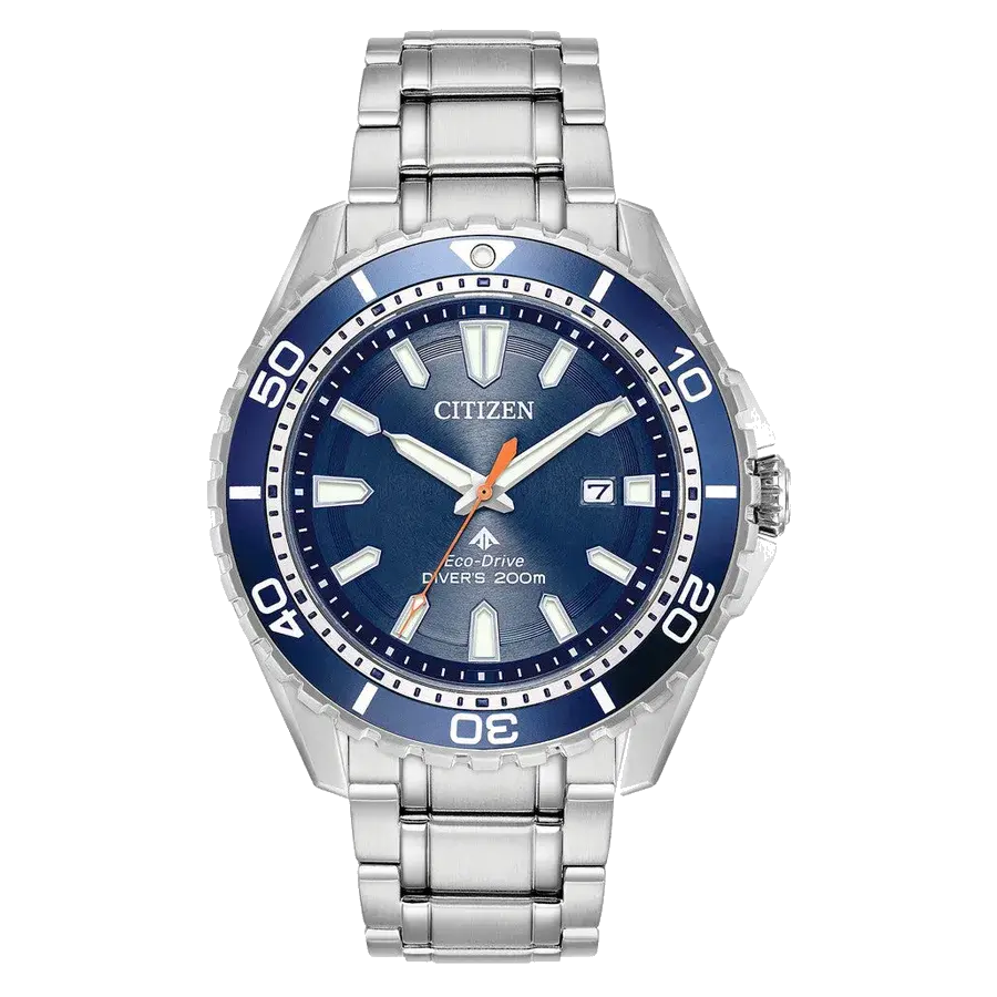 Citizen Eco-Drive Promaster Dive Watch with Blue Dial, reference BN0191-55L