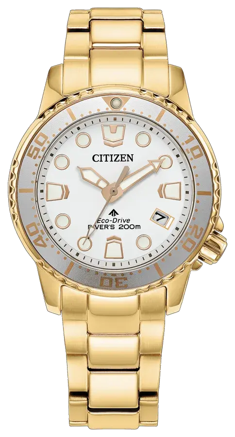 Citizen Promaster Dive, reference EO2029-54A