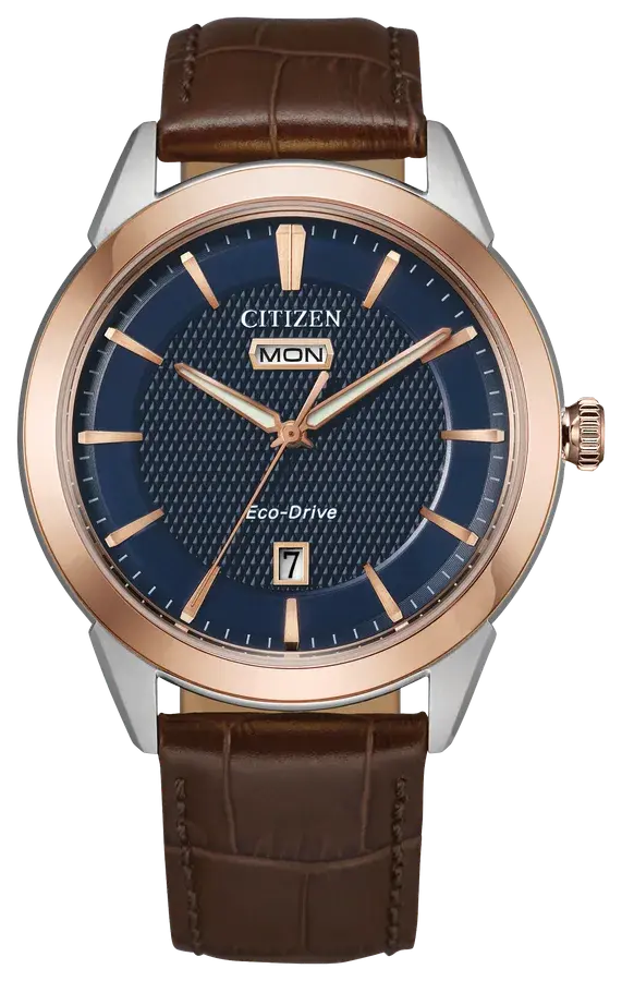 Citizen Rolan, reference AW0096-06L
